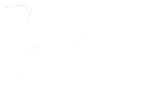 The Artist Project